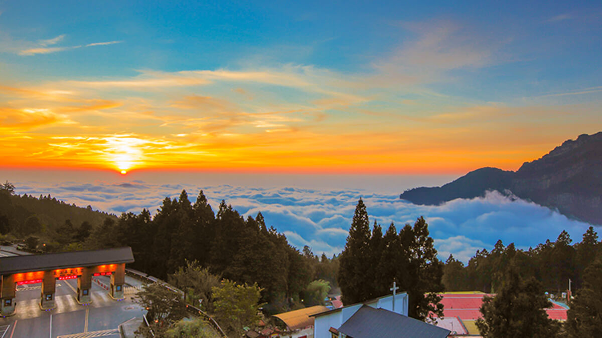 Gunung Alishan: Surga Kabut Taiwan yang Menakjubkan Gunung Alishan: Surga Kabut Taiwan yang Menakjubkan
