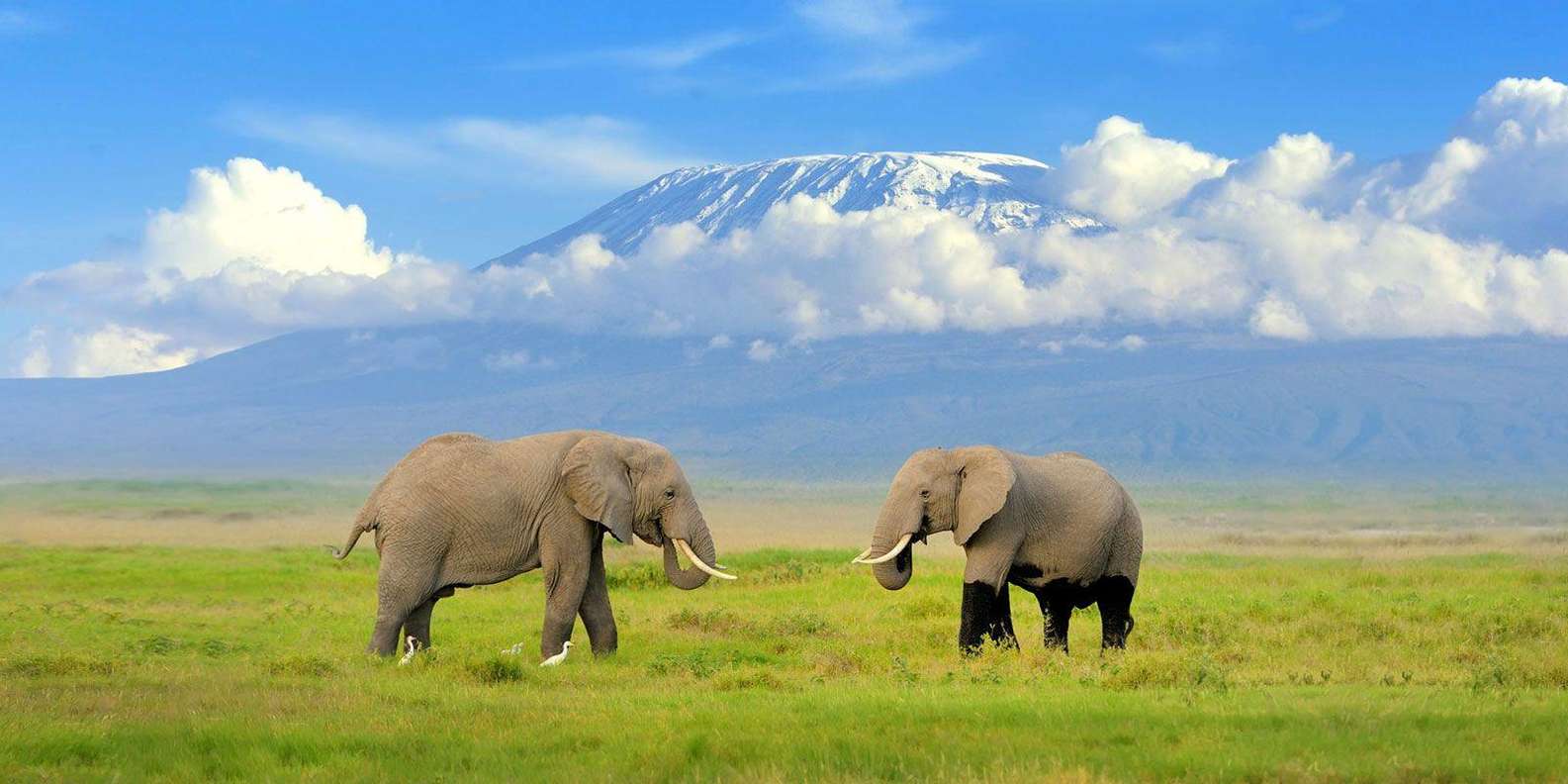 Taman Nasional Amboseli