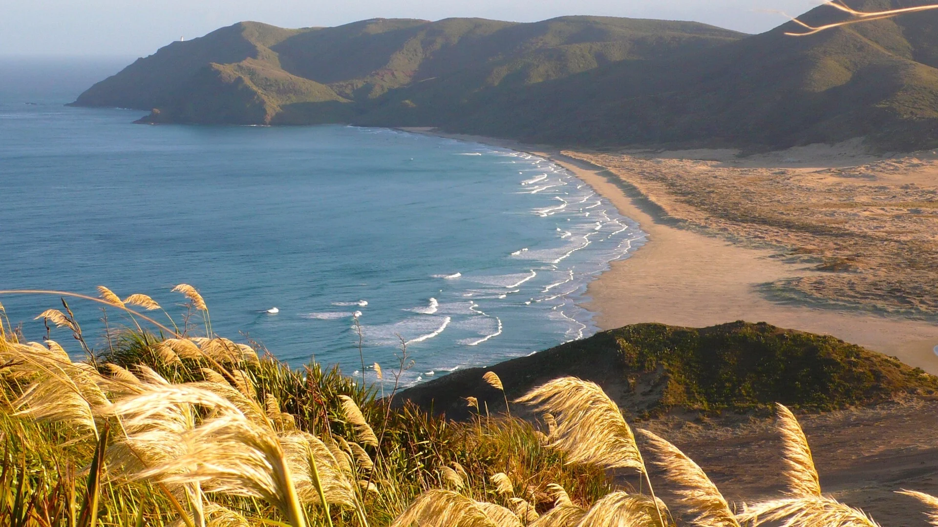 Cape Reinga
