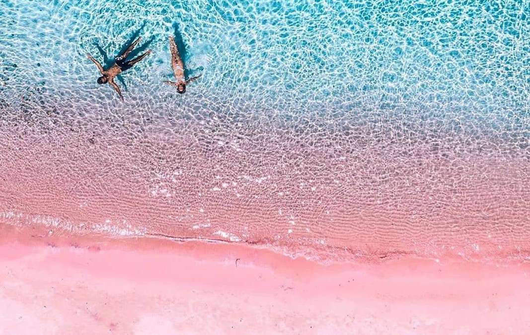 Pantai Pink Lombok: Warna Unik dan Langka di Dunia