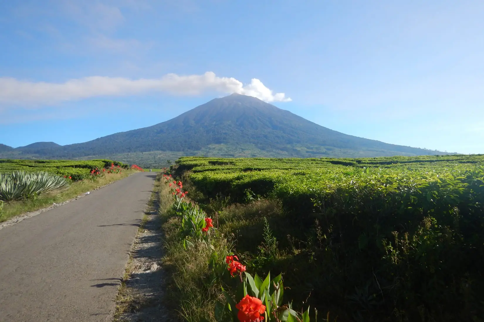 Mount Kerinci: Pesona Alam yang Memikat di Puncak Sumatra