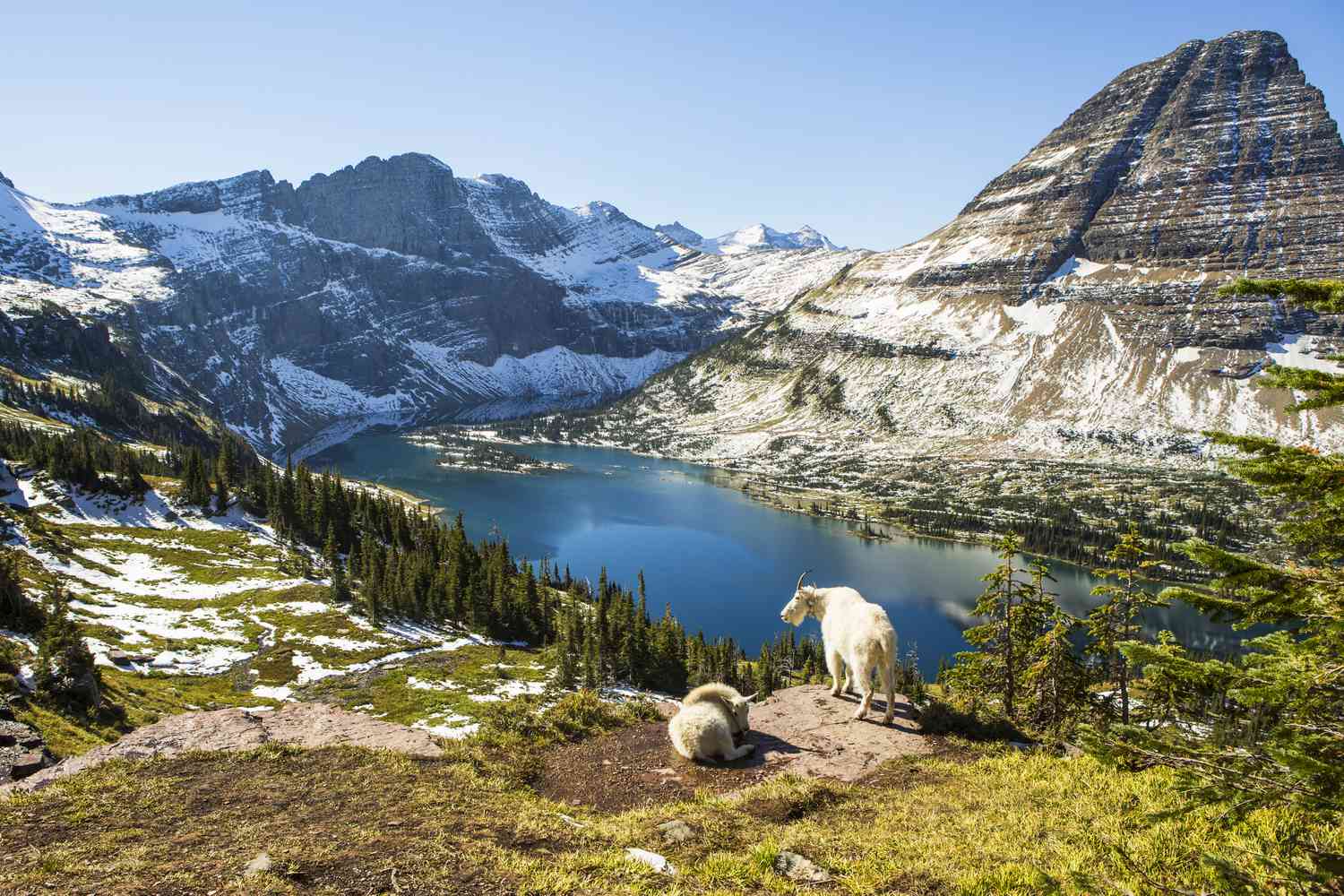 Glacier National Park