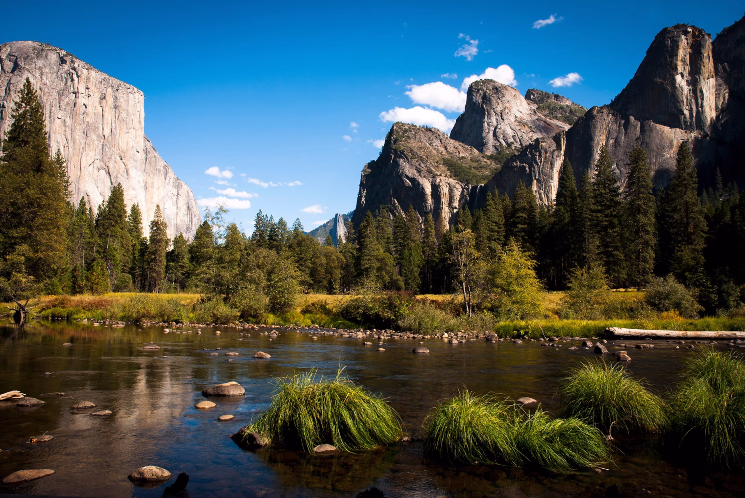 Yosemite – Alam Megah yang Wajib Dikunjungi!