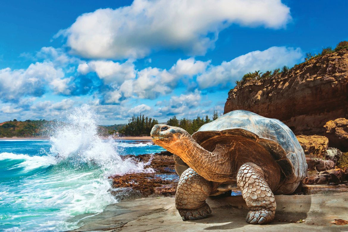 Galapagos Islands