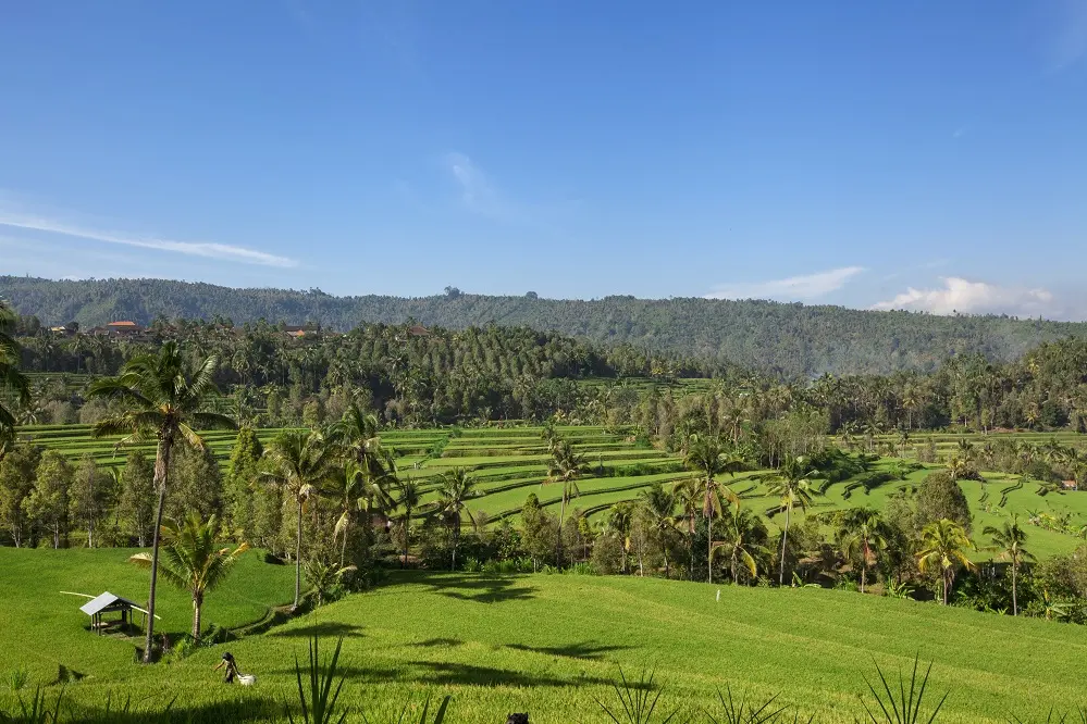 Pengalaman Eco-Tourism: Menyatu Sama Alam Tanpa Merusaknya