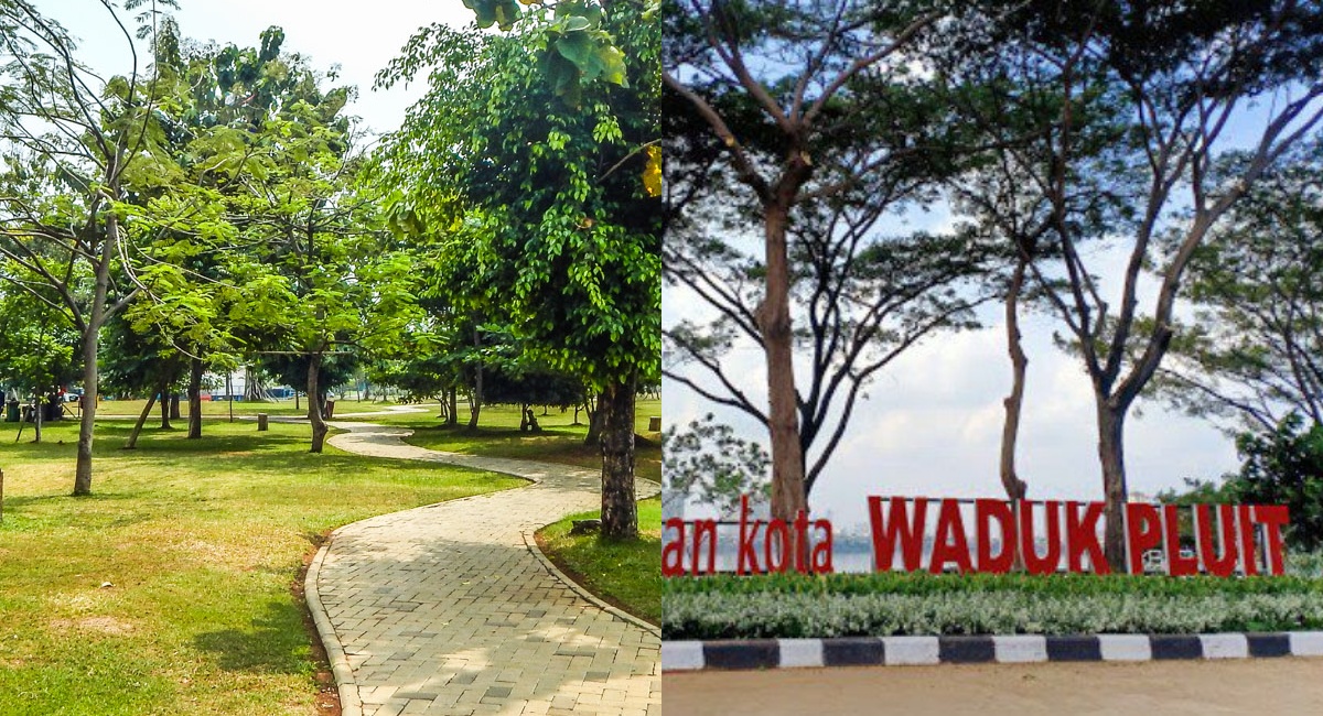 Taman Waduk Pluit: Ruang Hijau Urban yang Menyatu Harapan Taman Waduk Pluit: Ruang Hijau Urban yang Menyatu Harapan