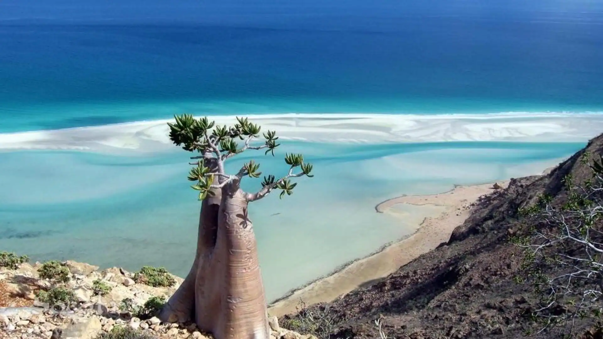 Socotra Island