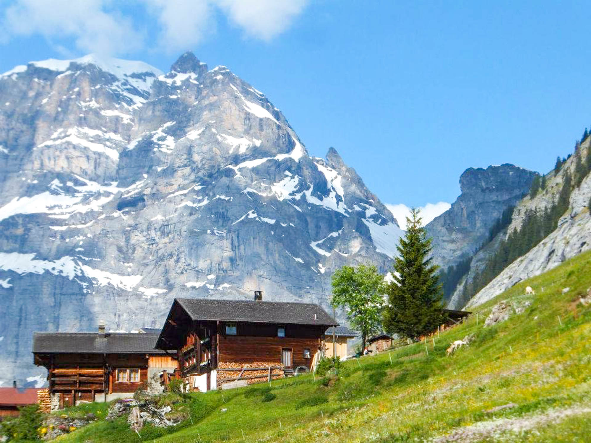 Gimmelwald: Surga Tersembunyi Swiss yang Bikin Ketagihan