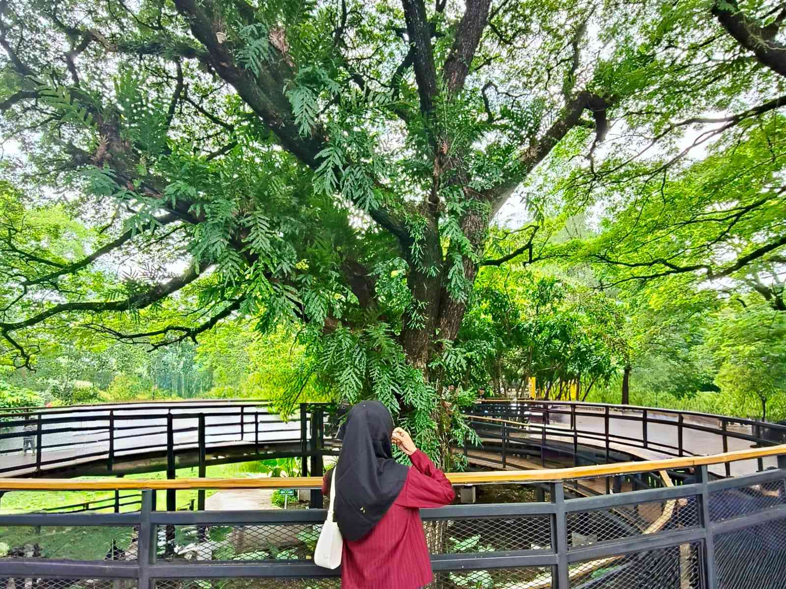 Menyambut Keindahan Taman Balekambang: Permata di Tengah Kota Solo