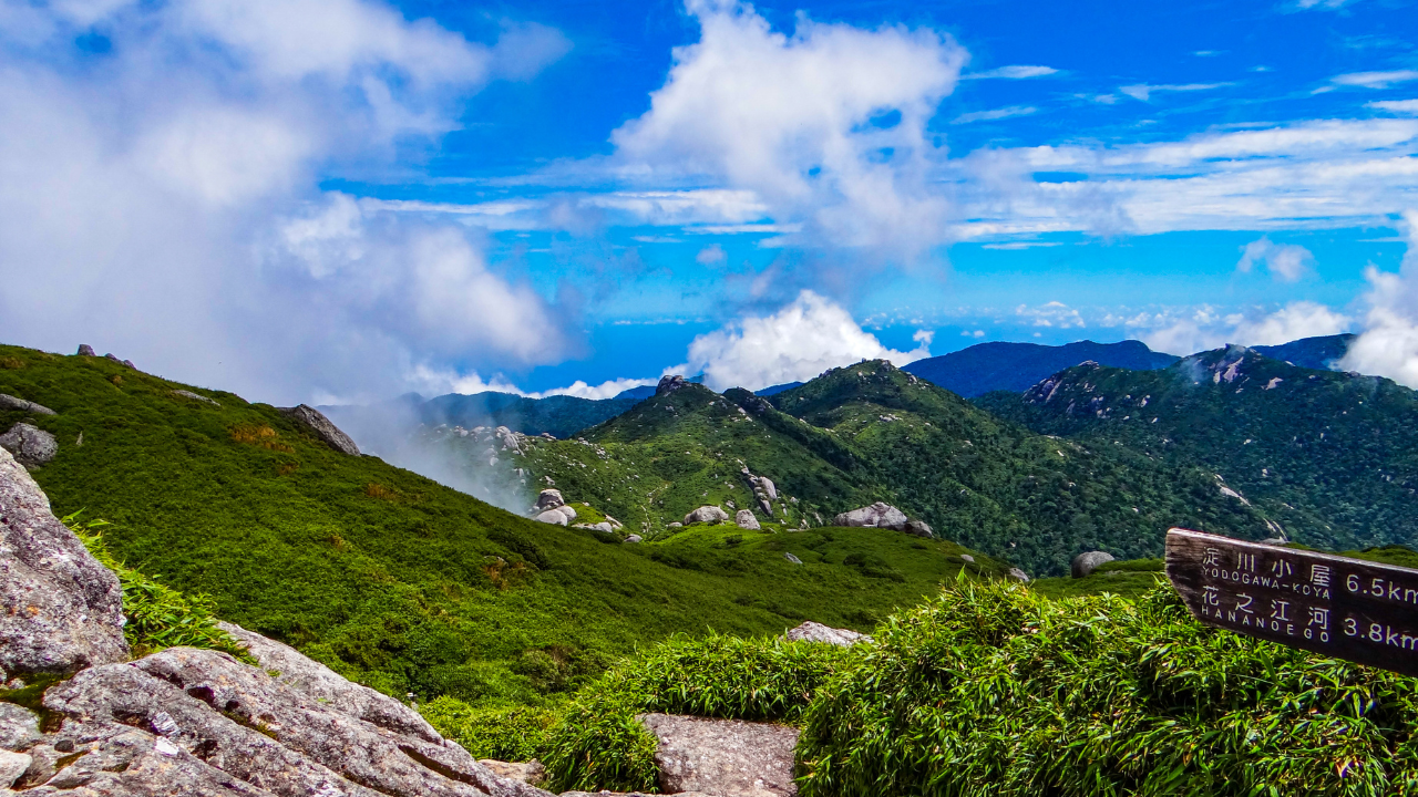Yakushima island