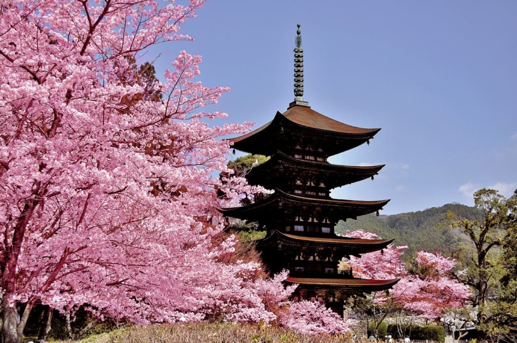 Rurikoin Temple: Hidden Gem dengan Nuansa Magis di Kyoto!