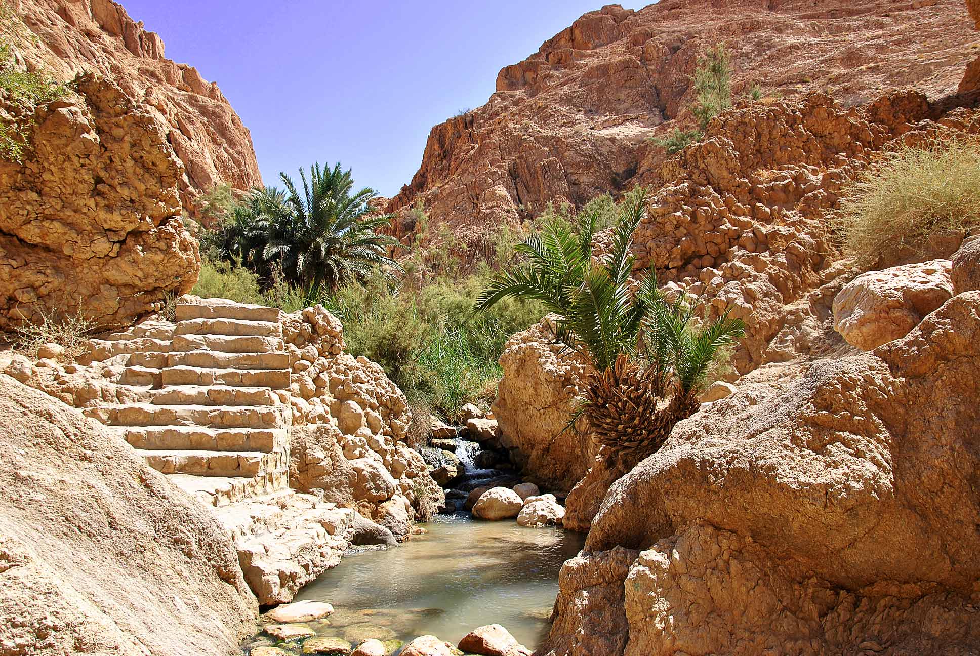 Chebika Oasis