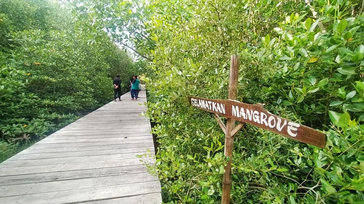 Ekowisata Mangrove: Pesona Pariwisata Berkelanjutan Indonesia Ekowisata Mangrove: Pesona Pariwisata Berkelanjutan Indonesia