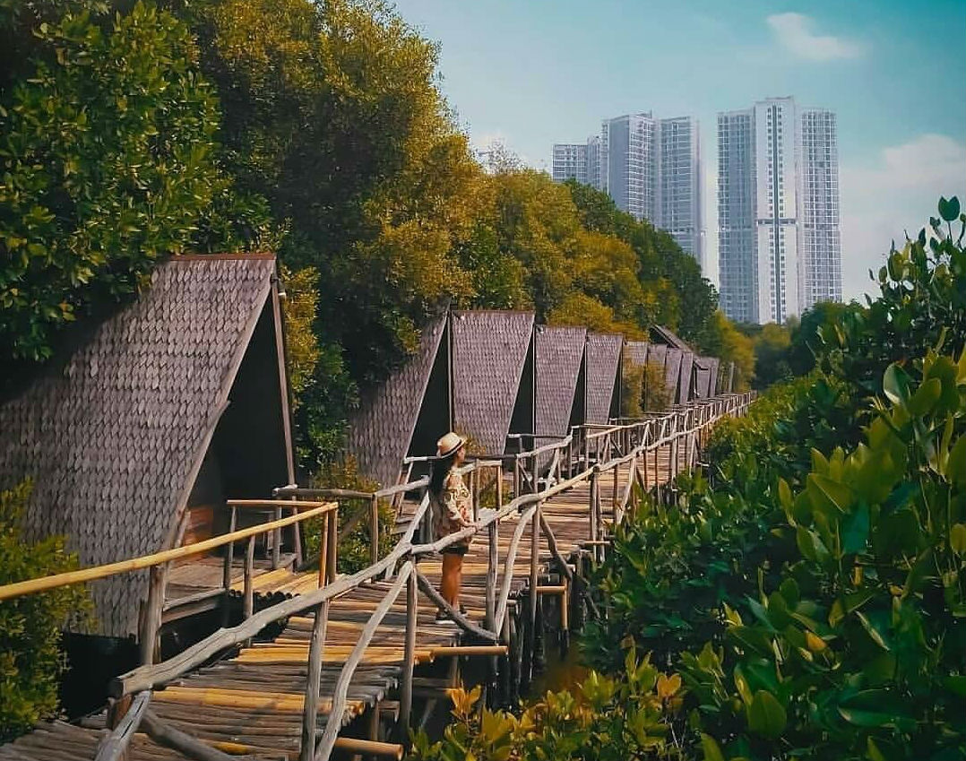 Ekowisata Mangrove
