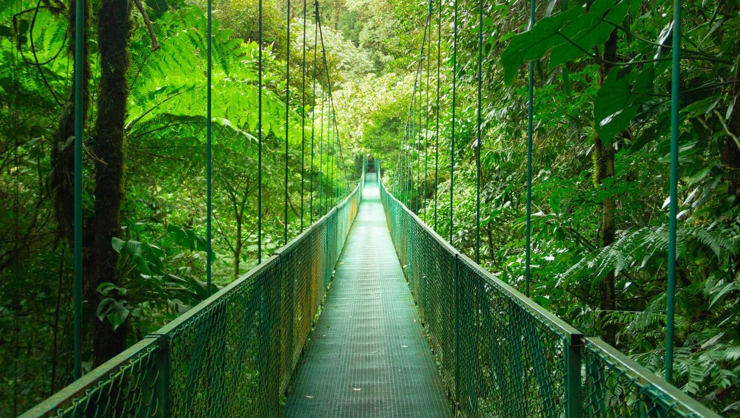 Monteverde