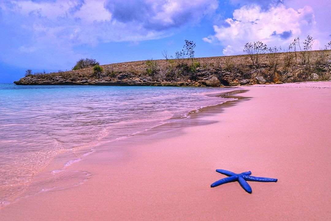 Pantai Pink Bali: Keajaiban Pasir Merah Muda Timur Pulau Pantai Pink Bali: Keajaiban Pasir Merah Muda Timur Pulau