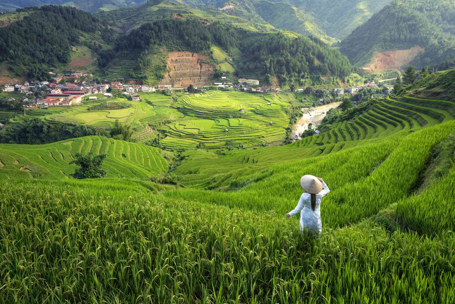 Sapa Valley Vietnam: Surga Alam dan Petualangan di Pegunungan