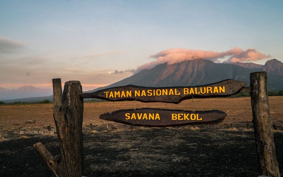 Taman Nasional Baluran: Afrika van Java Sarat Keindahan Alam