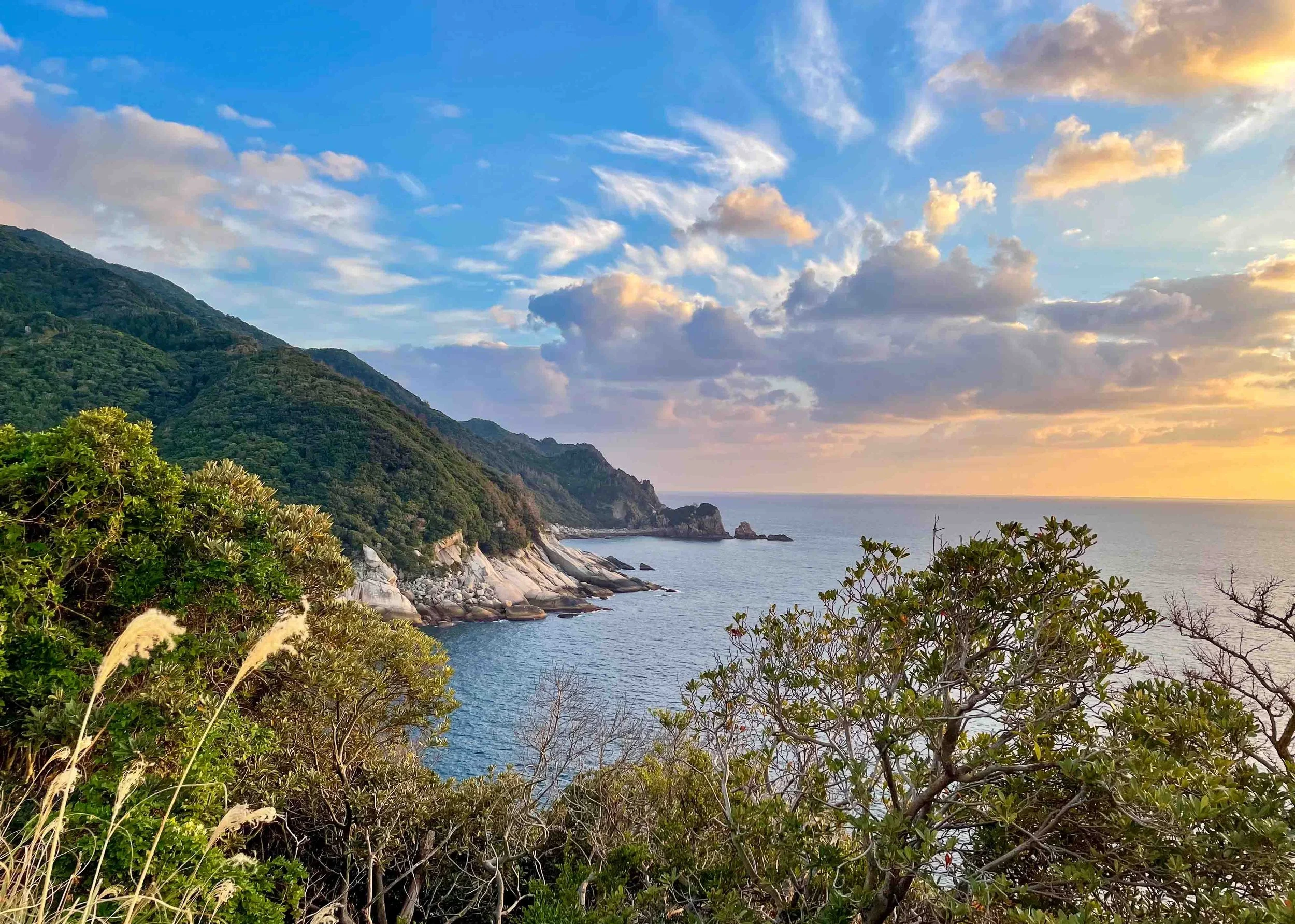 Pulau Yakushima —  Keindahan dan Misteri Hutan Tropis Jepang