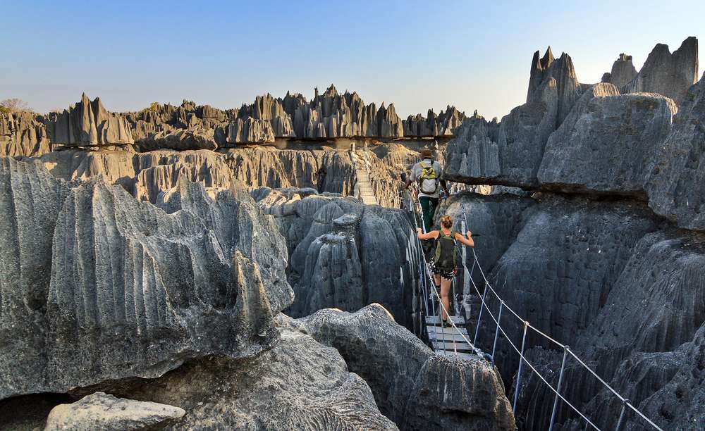 Stone Forest