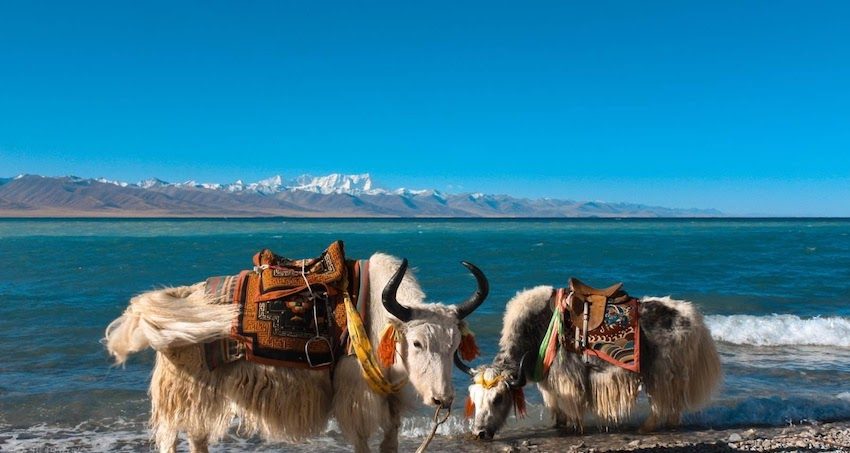 Danau Namtso