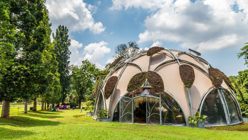 Bogor Botanical Gardens: Keindahan Taman Buatan yang Memikat