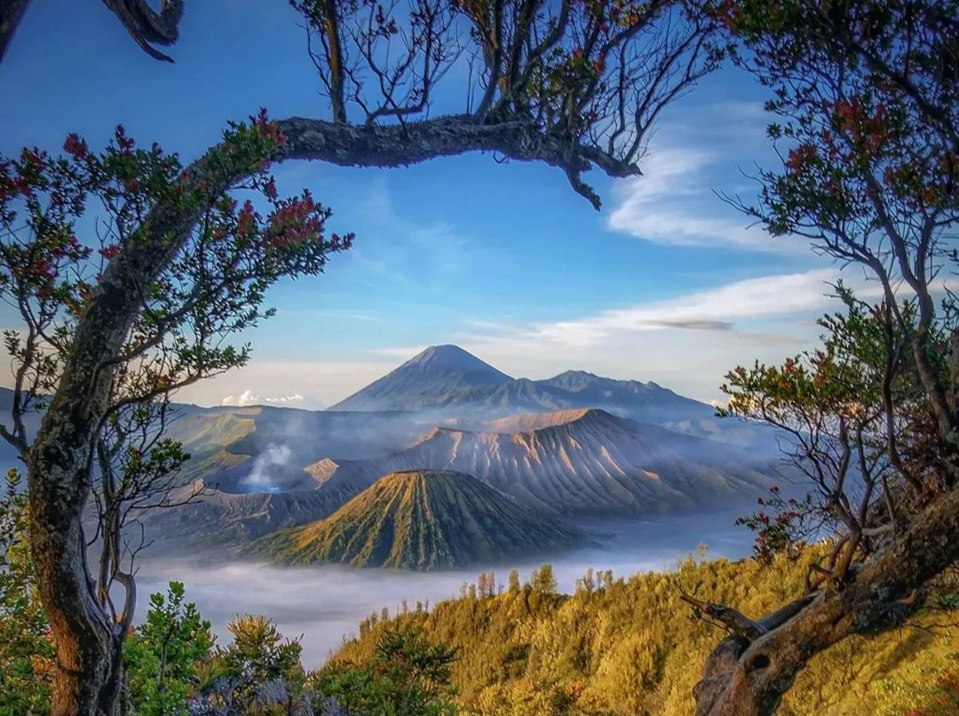 Bukit Kedaluh — Panorama Bromo yang Mempesona!