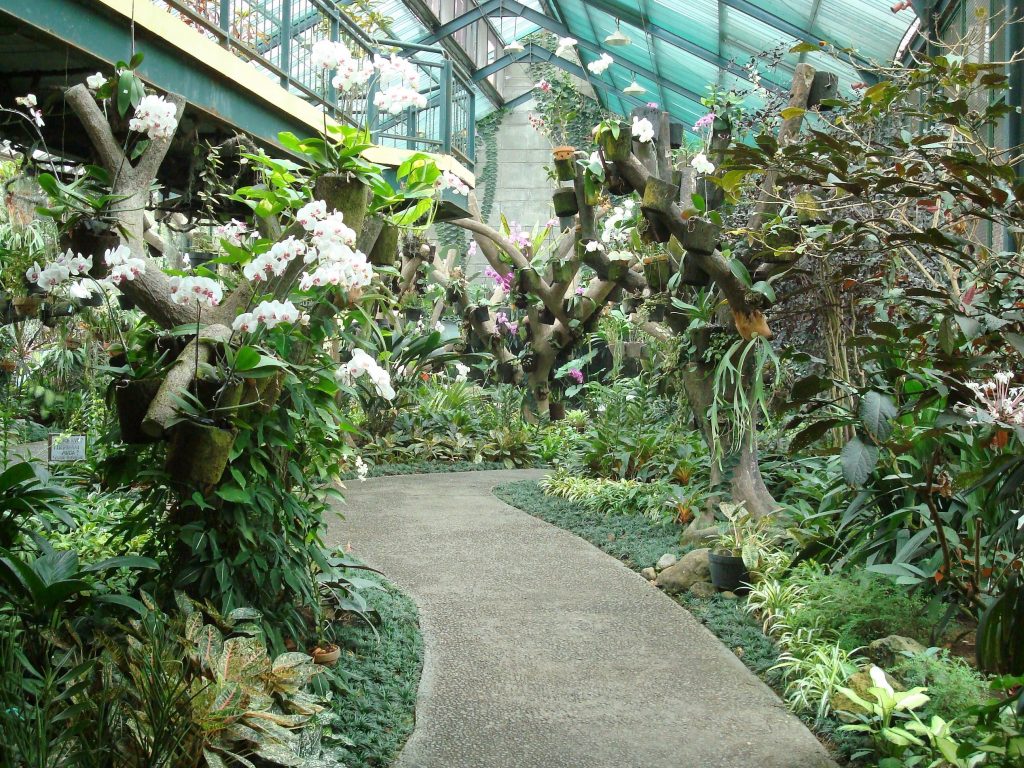 Bogor Botanical Gardens