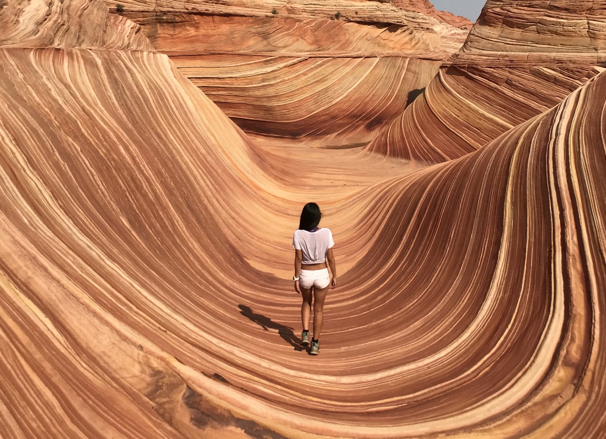The Wave: Keajaiban Formasi Batu di Perbatasan Arizona