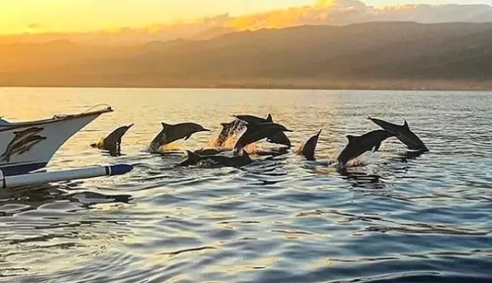 Pantai Lovina: Pesona Tenang di Bali Utara