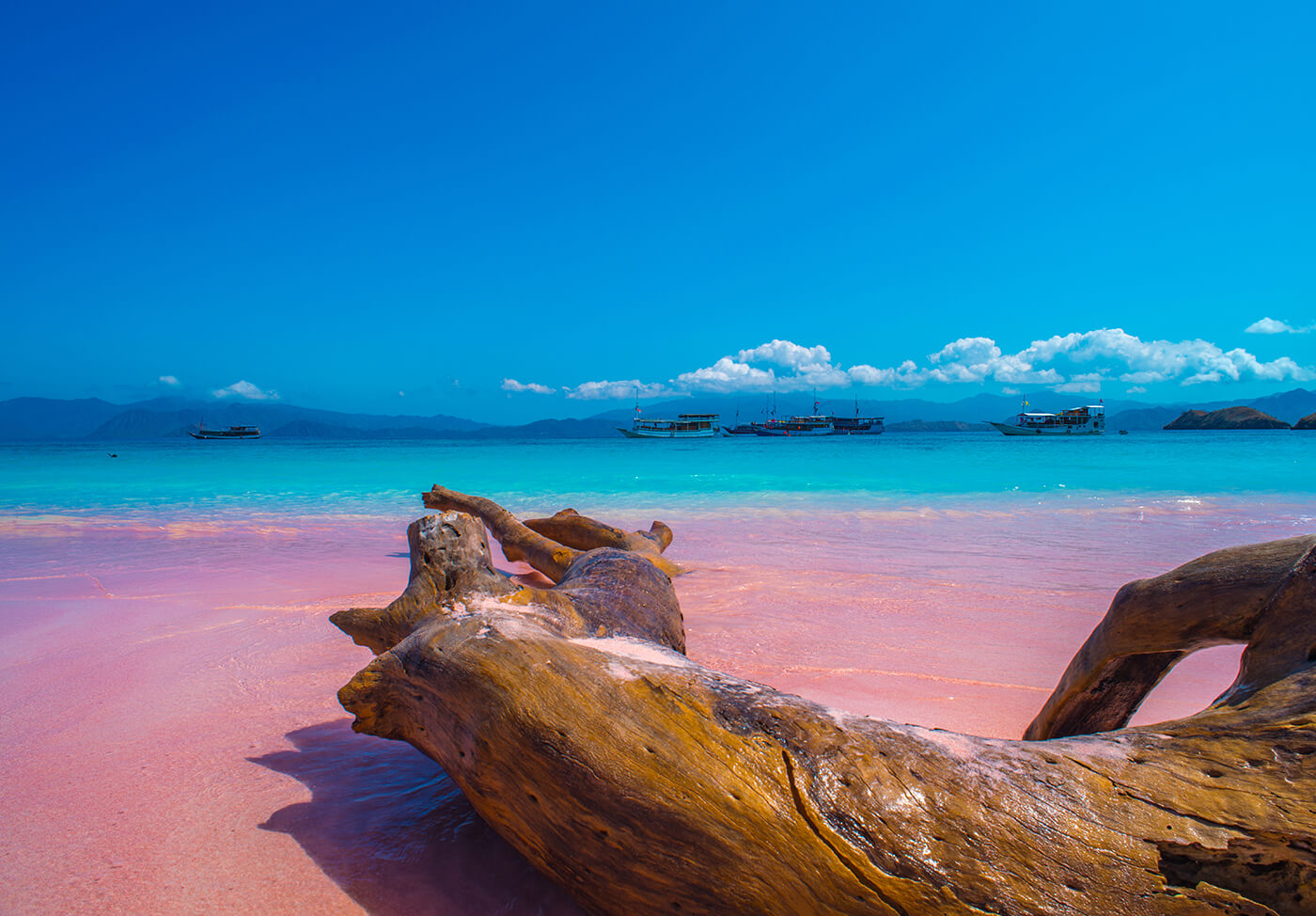 Pantai Pasir Pink Travel Eksotis dengan Pesona Alam yang Unik