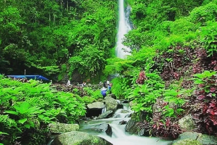 Curug Cijalu: Keindahan Alam yang Menyegarkan di Jawa Barat