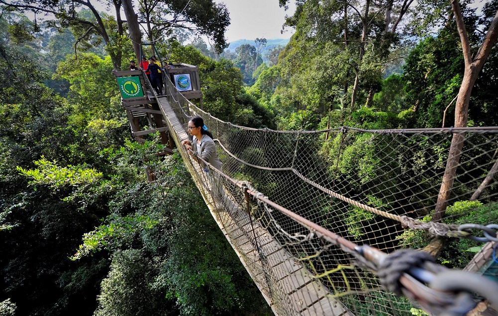 Trekking Hutan Tropis