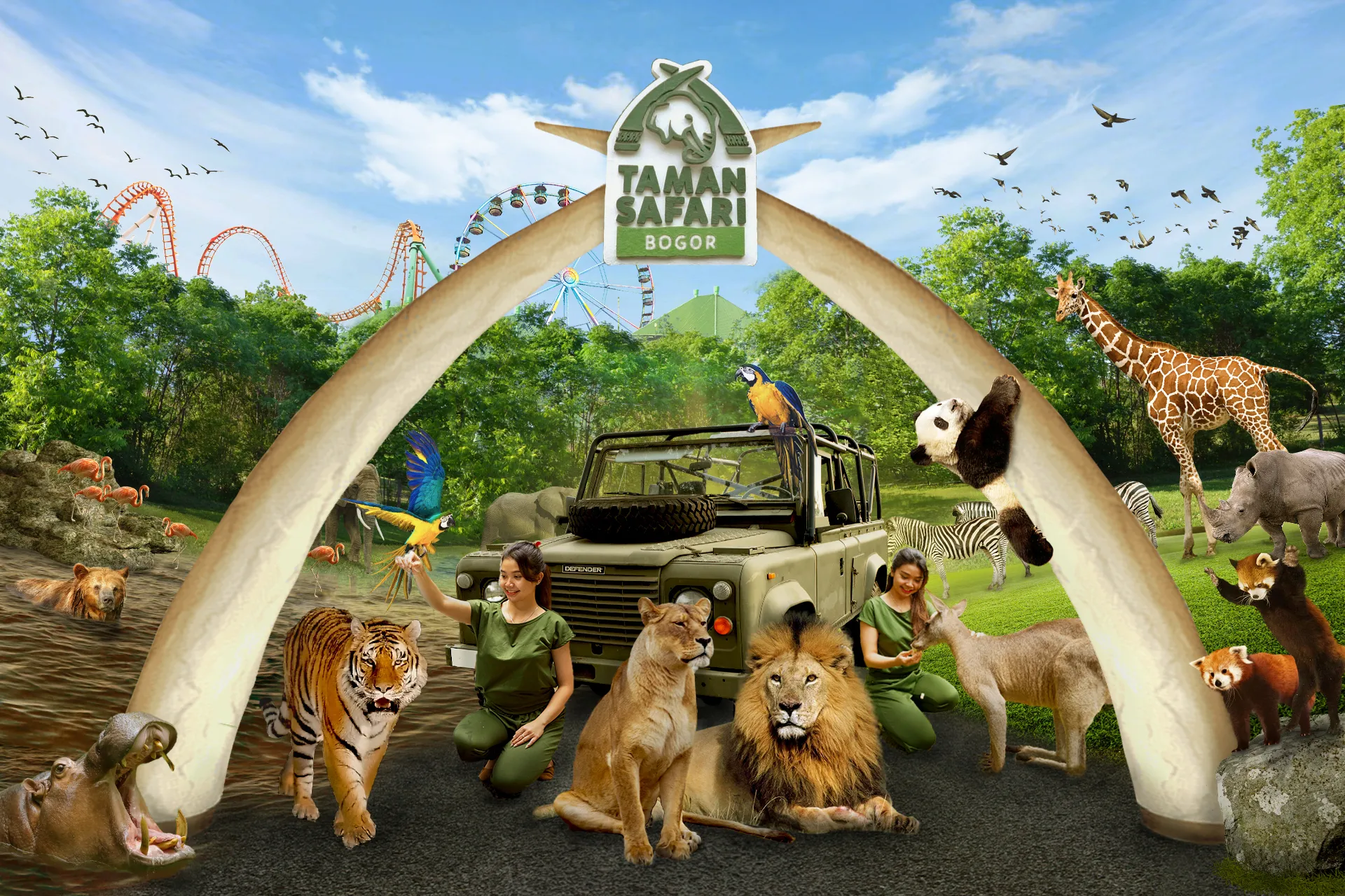 Taman Safari: Petualangan Alam dan Edukasi Satwa yang Tak Pernah Membosankan Taman Safari: Petualangan Alam dan Edukasi Satwa yang Tak Pernah Membosankan