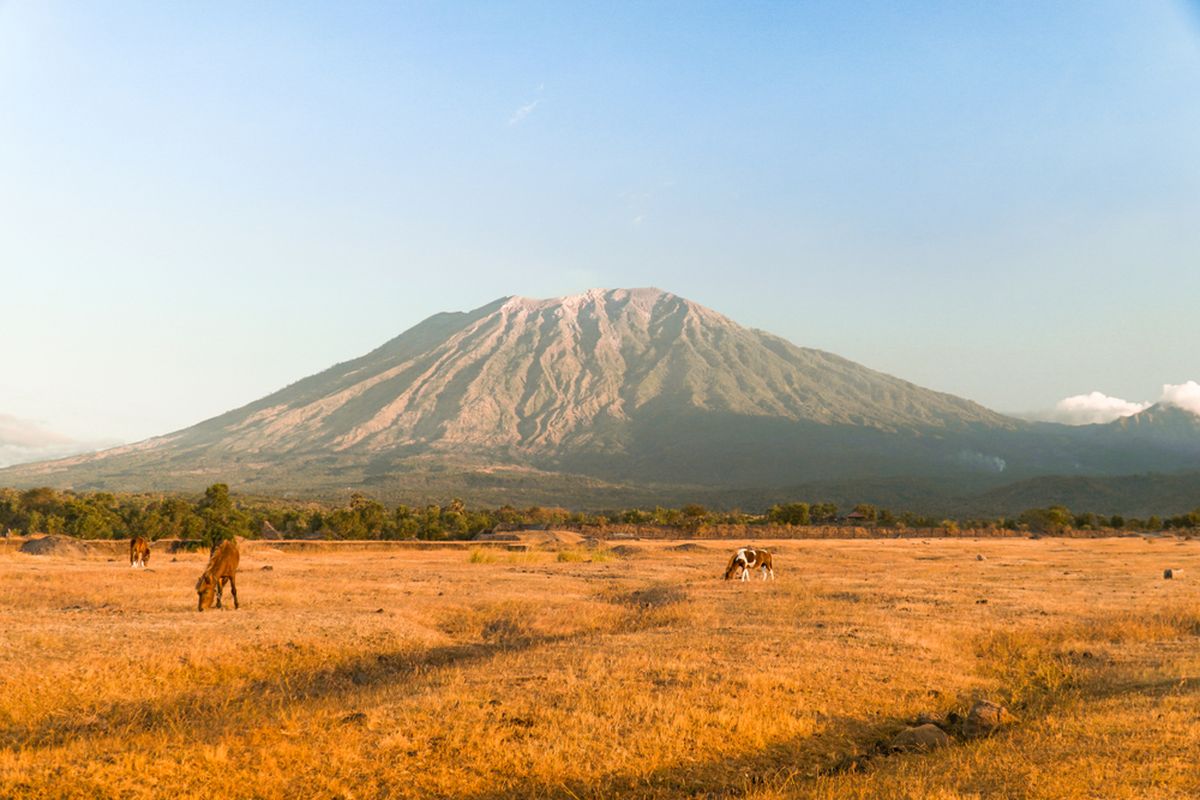 Savana Tianyar —  Pesona Alam Tersembunyi di Timur Bali