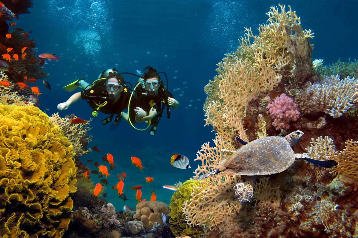 Diving Bali: Menyelami Surga Bawah Laut yang Memikat Dunia Diving Bali: Menyelami Surga Bawah Laut yang Memikat Dunia