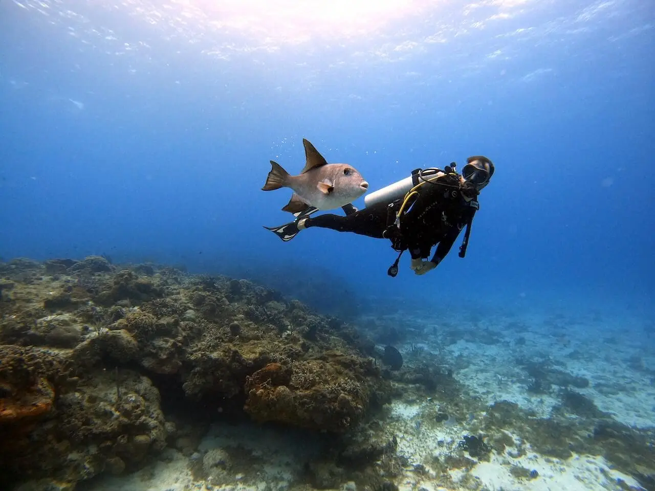 Diving Bali
