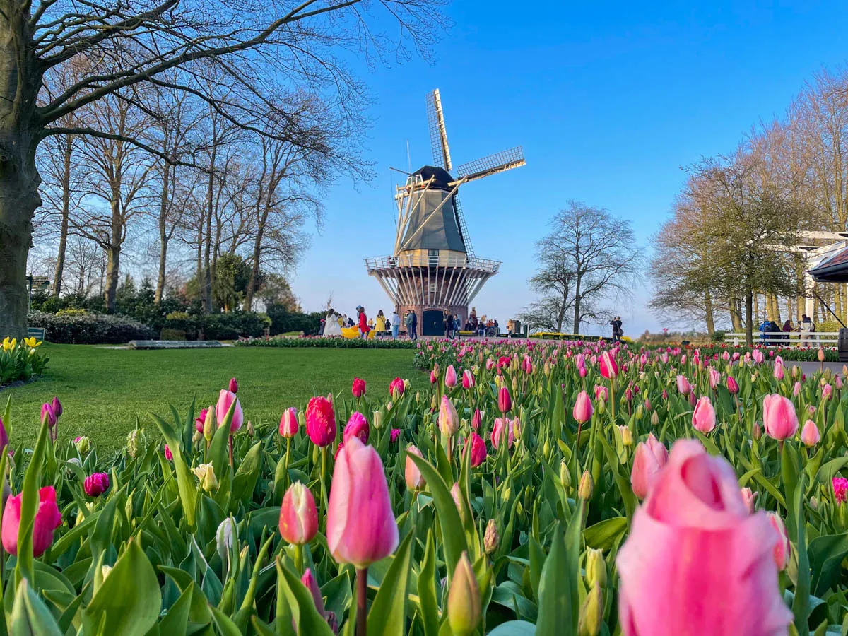 Keukenhof: Taman Bunga Terindah di Eropa yang Menyentuh Hati