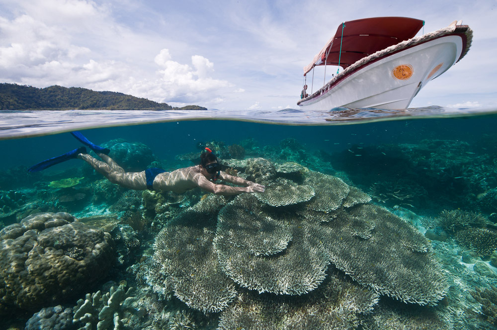 Snorkeling Raja Ampat: Surga Bawah Laut yang Tak Tertandingi Snorkeling Raja Ampat: Surga Bawah Laut yang Tak Tertandingi