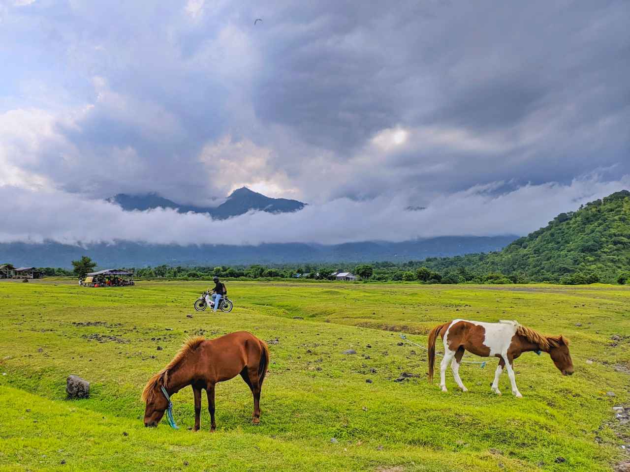 Savana Tianyar