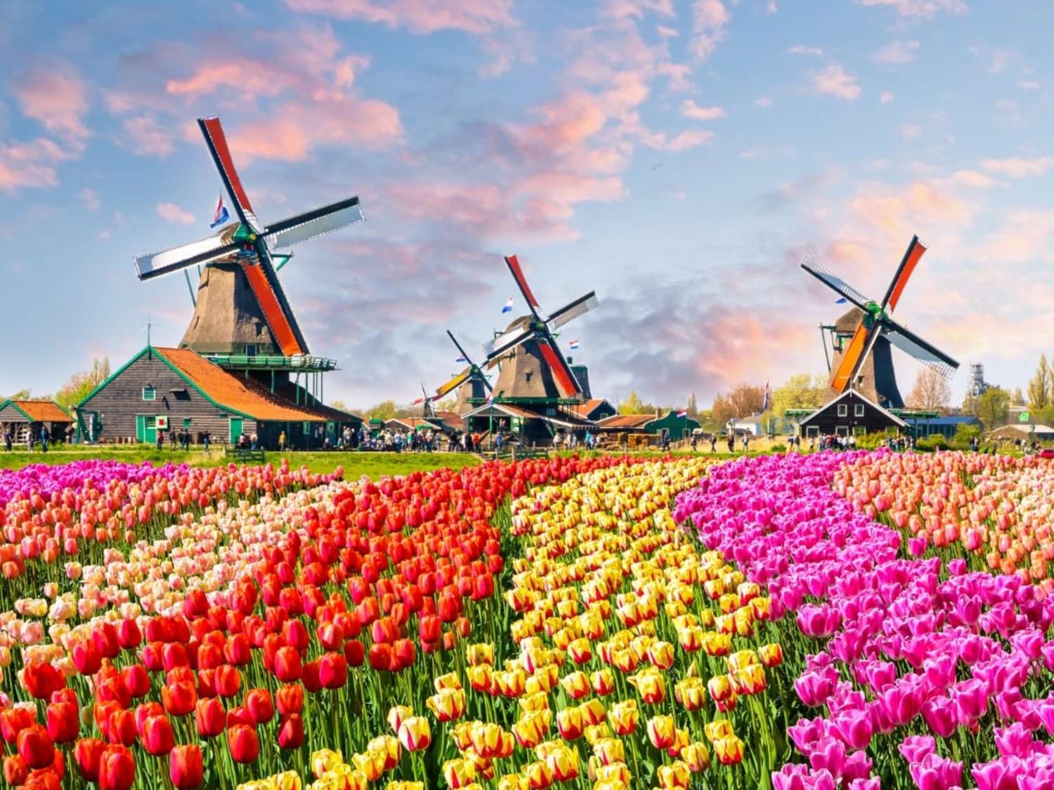 Keukenhof