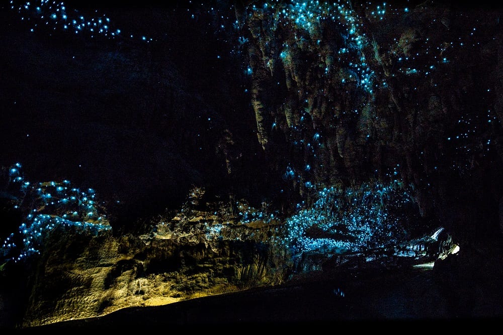 Waitomo Glowworm Caves