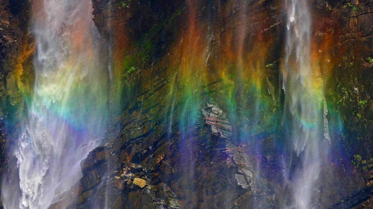 Menyusuri Keindahan C: Surga Tersembunyi di Alam Indonesia