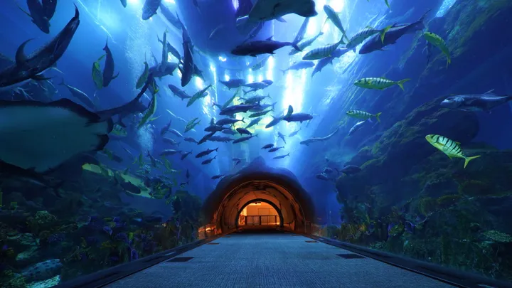 Dubai Aquarium