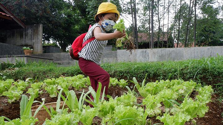 Edukasi Wisata Hijau: Cara Baru Menikmati Liburan Sambil Melindungi Alam dan Memberdayakan Komunitas Lokal