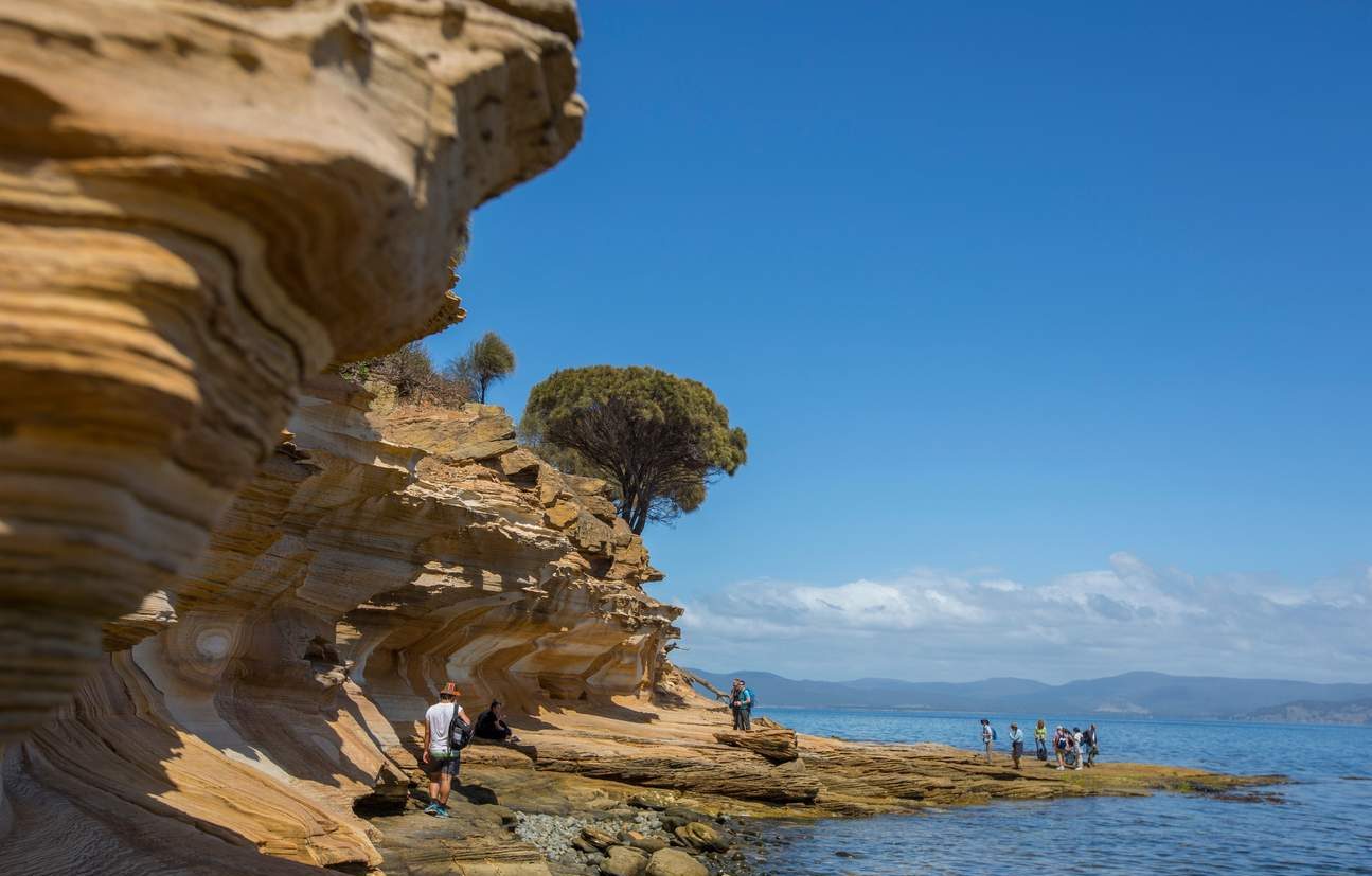 Maria Island National Park Surga Tersembunyi di Pesisir Tasmania Maria Island National Park Surga Tersembunyi di Pesisir Tasmania