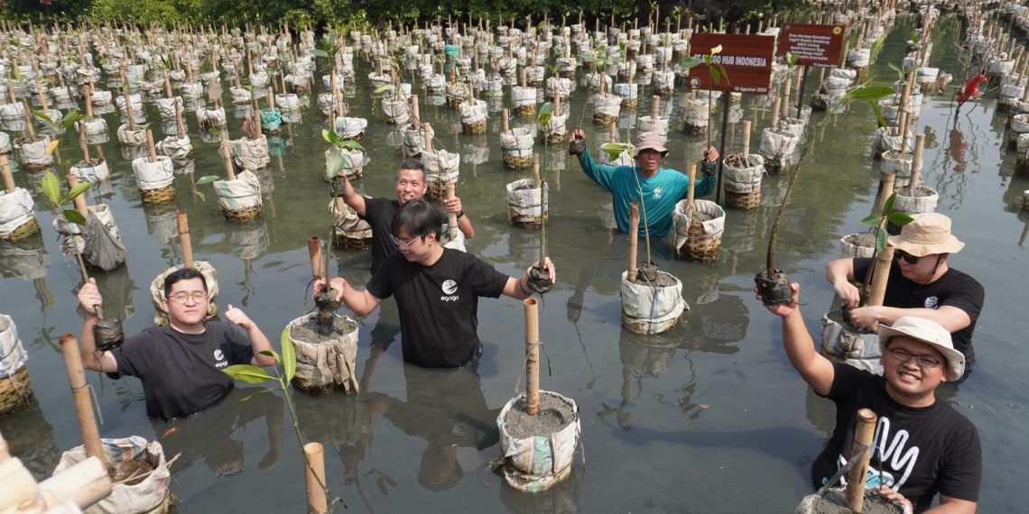 Wisata Peduli Alam: Cara Baru Menjelajah Bumi Sambil Menjaganya Tetap Bernapas