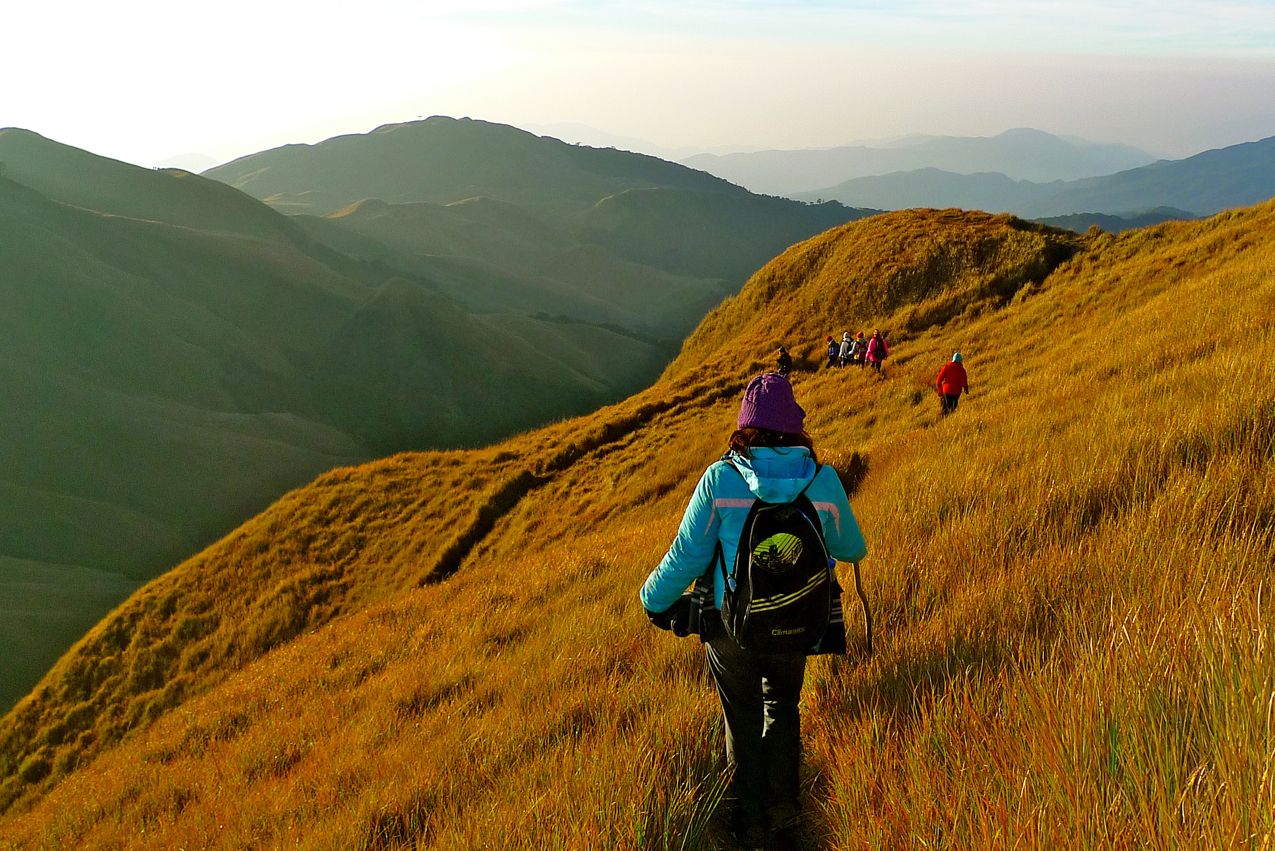 Gunung Pulag destinasi pendaki favorit di atas awan Gunung Pulag destinasi pendaki favorit di atas awan