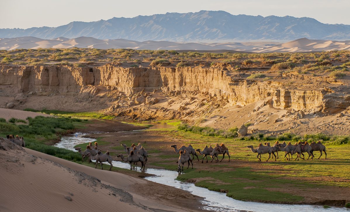 Gobi Desert