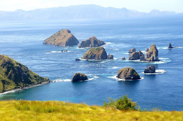 Pulau Kelapa: Pesona Alami Timur Nusantara yang Masih Asri